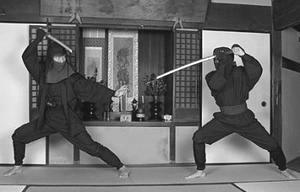 Les arts martiaux ou l'esprit des budô DVD et livre arts martiaux esprit budo